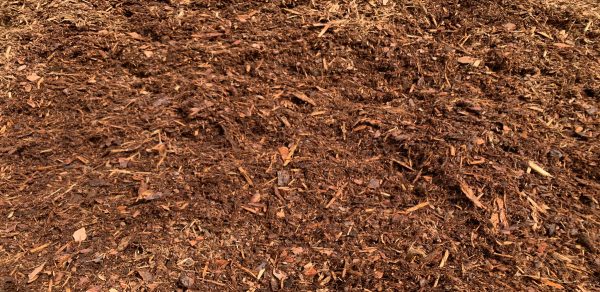 Pine Bark Mulch